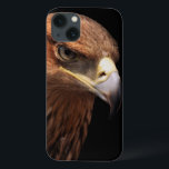 Eagle portrait isolated on black<br><div class="desc">Eagle portrait isolated on black - Greater Spotted Eagle © and ® Bigstock® - All Rights Reserved.</div>