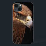 Eagle portrait isolated on black<br><div class="desc">Eagle portrait isolated on black - Greater Spotted Eagle © and ® Bigstock® - All Rights Reserved.</div>