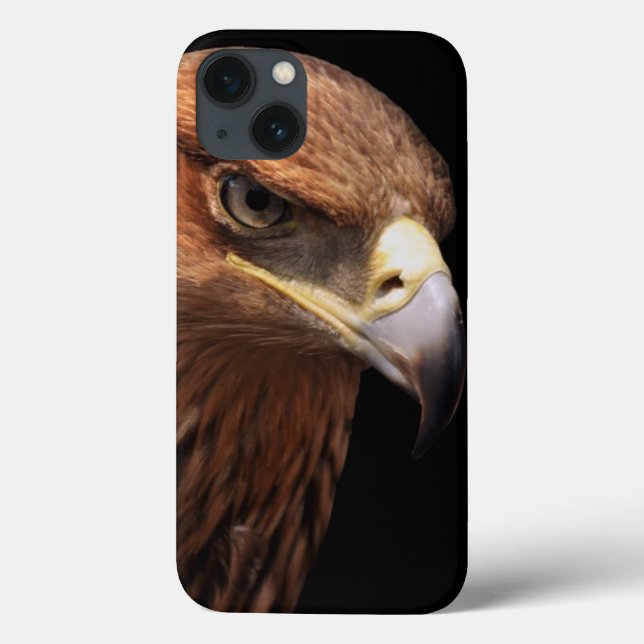 Eagle portrait isolated on black (Verso)