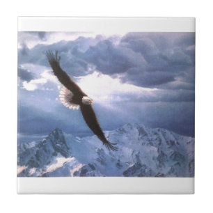 Eagle resiste à tempestade