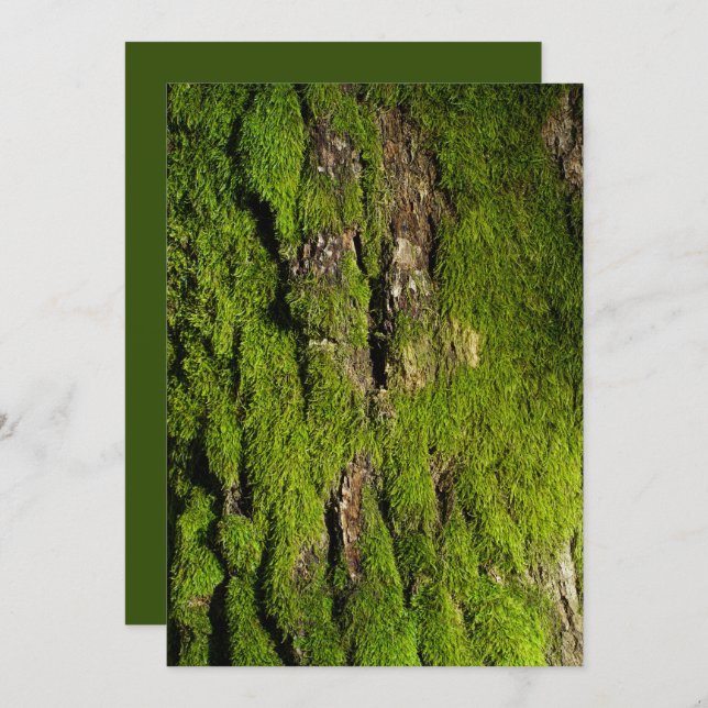 Earth Day Celebration, Editable Text (Frente/Verso)