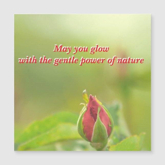 Earth’s Glow and Healing Japanese Flowers/EarthDay (Frente)