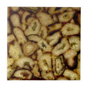 Earthen Green Quartz Agates