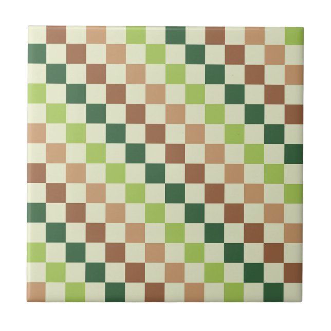 Earthy rainbow diagonal checkerboard pattern (Frente)