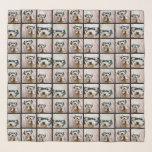 Echarpe Criar uma Colagem de Fotos Personalizada com 6 Fot<br><div class="desc">Para obter melhores resultados,  recorte suas fotos em quadrados antes de carregar. Um design moderno com um impressão de suas fotos. Use sua foto ou fotos favoritas para fazer um espetáculo divertido para compartilhar com amigos.</div>
