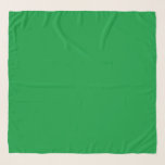 Echarpe Grama Verde<br><div class="desc">Chifon Scarf, verde Grass, por Gerson Ramos.</div>