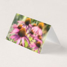 Echinacea, cena floral