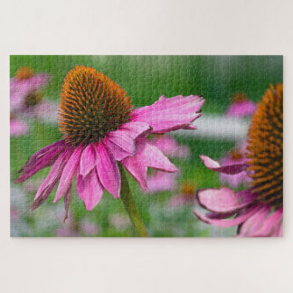 Echinacea Flower Quebra-cabeça