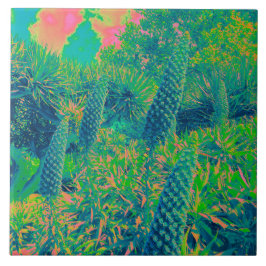 Echium Flowers Tropical Vibe