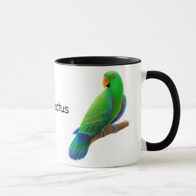 Eclectus repete mecanicamente a caneca (Direita)