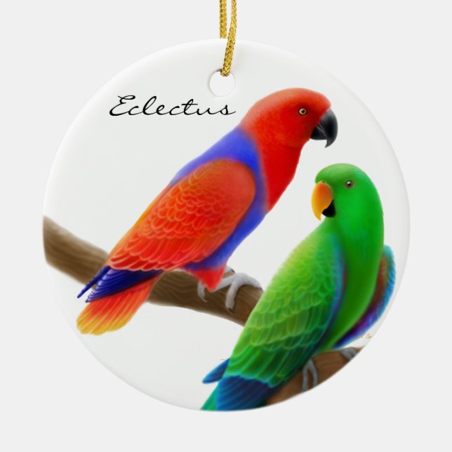 Eclectus repete mecanicamente o ornamento (Frente)