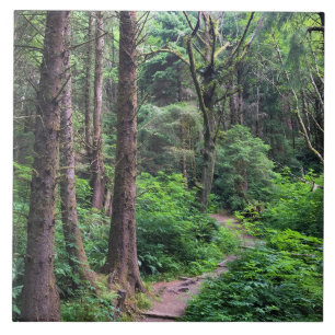 Eco-a State Park, Cannon Beach, Oregon