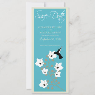 Economias do colibri o anúncio da data (aqua)