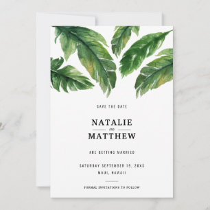 Economias tropicais modernas da folha o cartão de