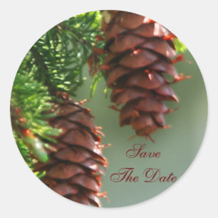 Economias verdes de Pinecone a etiqueta do