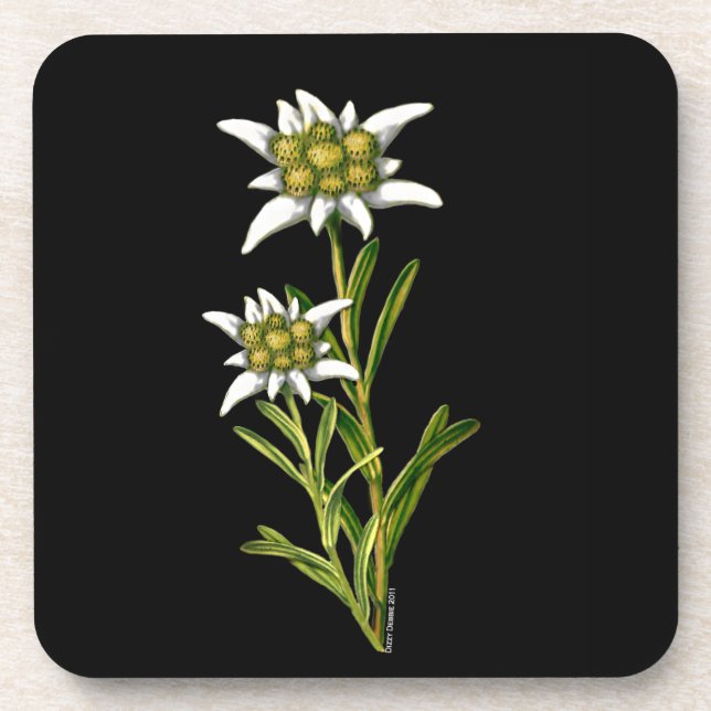 Edelweiss Floral Porta copos (Frente)