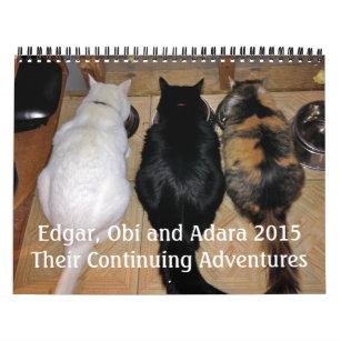 Edgar, bruxaria africana e calendário 2015 do gato