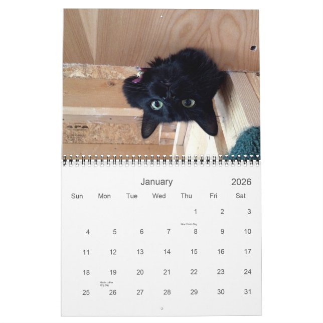 Edgar, bruxaria africana e calendário 2015 do gato (Jan 2026)