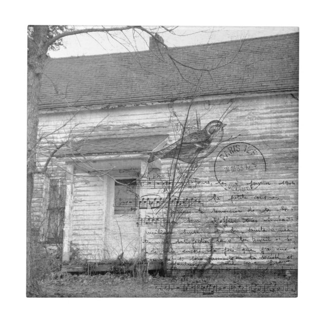 Edição Abandonada de Música House Bird (Frente)