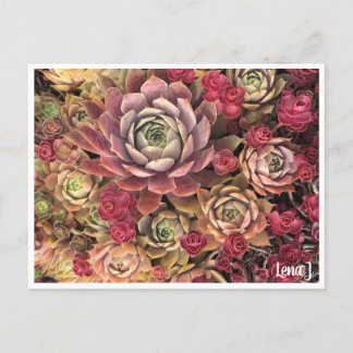 Edição Especial Lena J Cartão postal