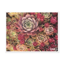 Edição Especial Lena J Cartão postal