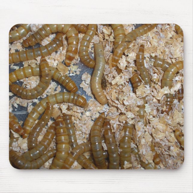 Eeewww… - Mousepad (Frente)