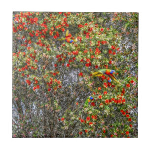 EFEITO DA ARTE DA ÁRVORE CALLISTEMON AUSTRÁLIA D