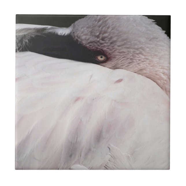 Efeito de desenho de retrato de flamingo rosa Arte (Frente)