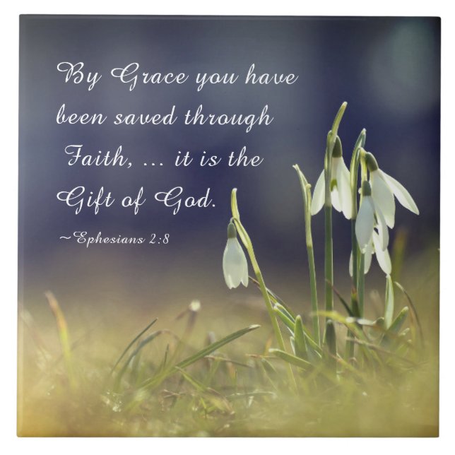 Éfesianos 2:8 Por Grace Você Foi Salva Bíblia (Frente)
