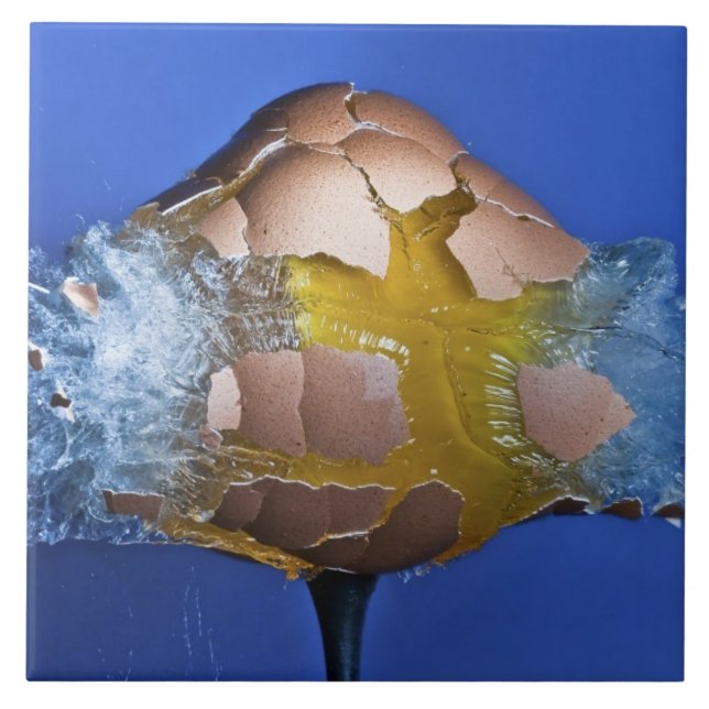 Eggceptional (Frente)