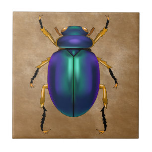 Egípcio Sands Scarab Beetle