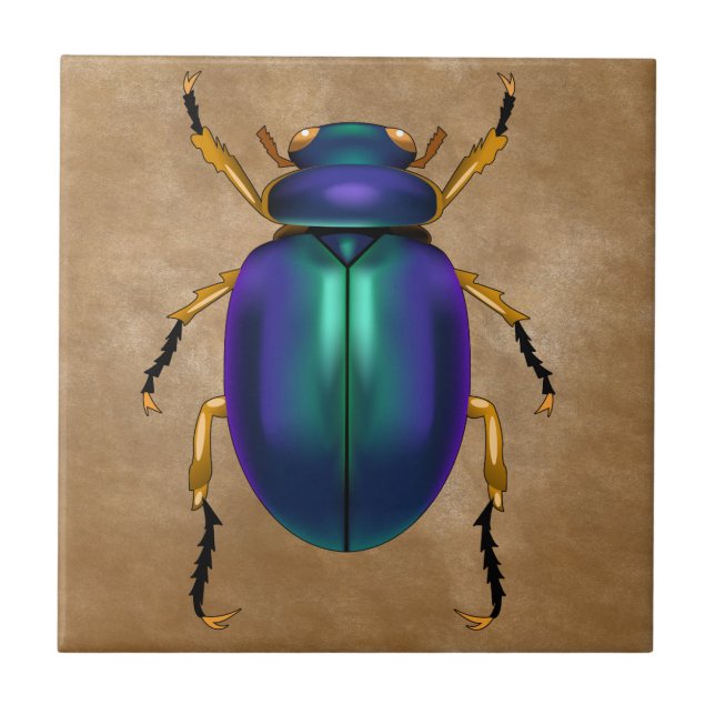 Egípcio Sands Scarab Beetle (Frente)