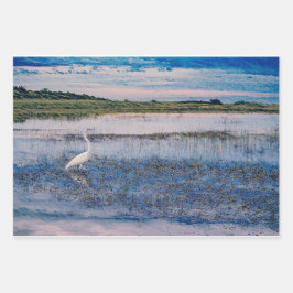 Egret excelente nas zonas úmidas