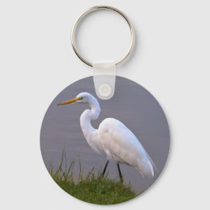 Egret que dá uma volta no chaveiro da luz solar