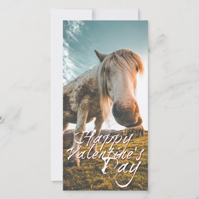 Einen schönen Valentinstag mit schauendem Pferd (Frente)