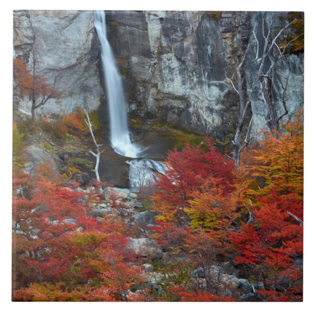 El Chorrillo Waterfall | Patagônia, Argentina (Frente)