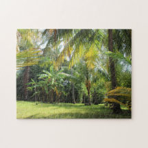 El Zonte Quebra-cabeça