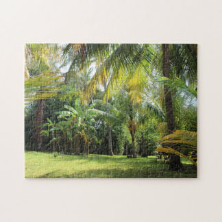 El Zonte Quebra-cabeça