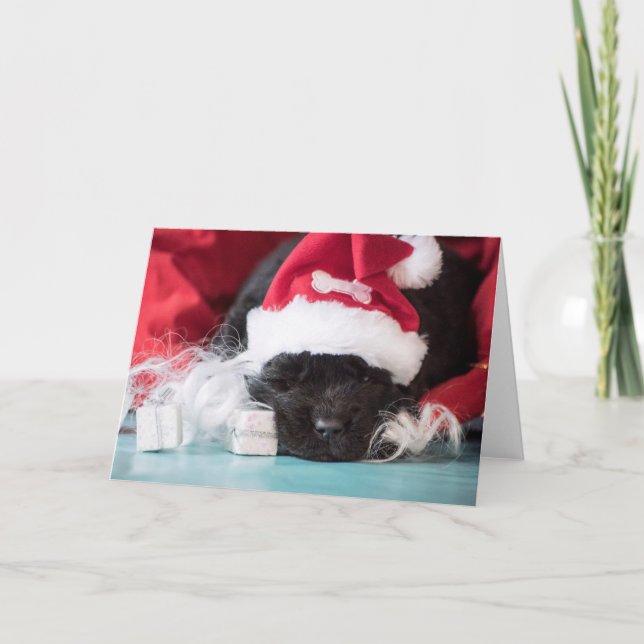 Ele "nariz: se você foi malvado cartão (Frente)