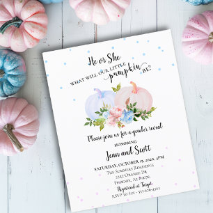 Ele ou Ela Rosa Pumpkin Azul Revela O Outono I