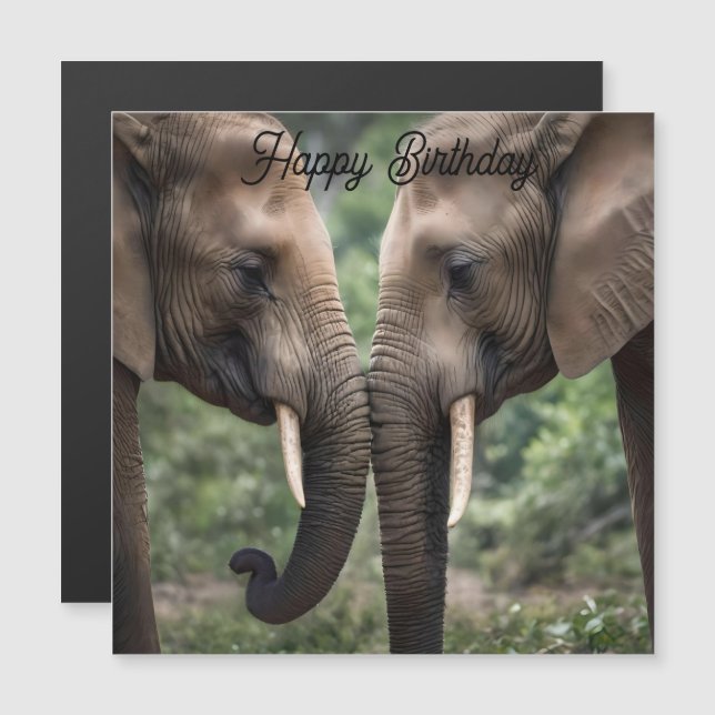 Elefant Family Love (Frente/Verso)