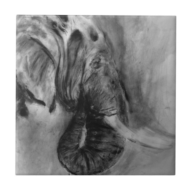elefante (Frente)