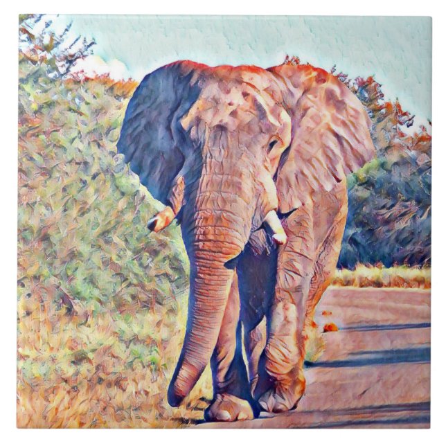elefante aquarell (Frente)