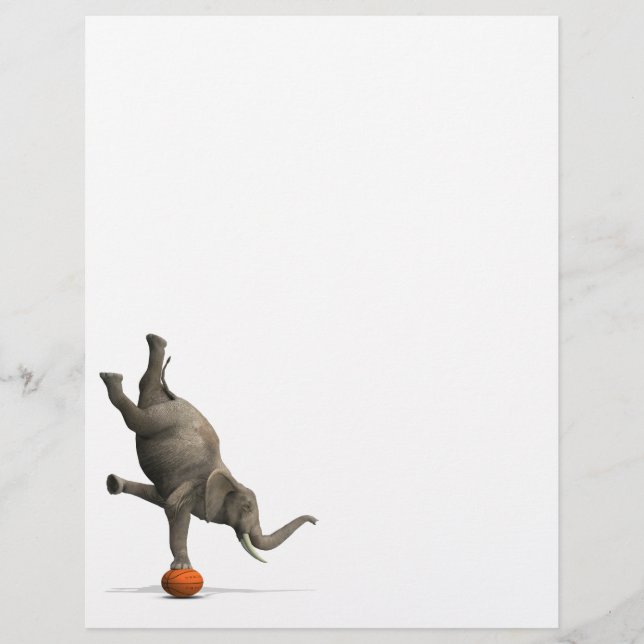 Elefante Artístico (Frente)