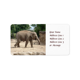 Elefante Asiático Andando Sobre O Rótulo adesivo D