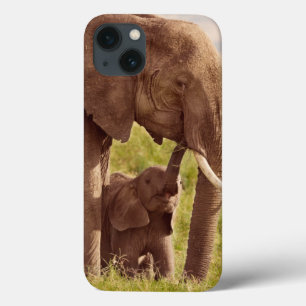 Elefante & bebê das imagens   de Getty