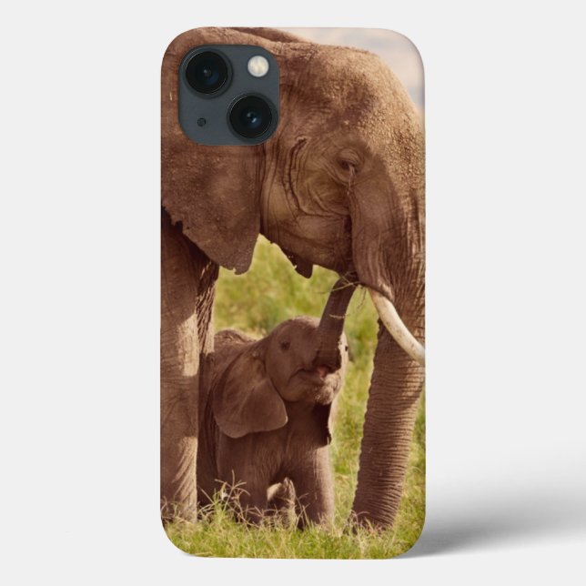 Elefante & bebê das imagens | de Getty (Verso)