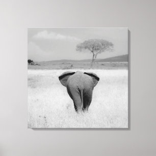 Elefante, canvas da vista traseira