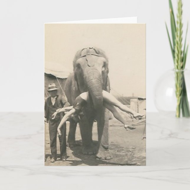 elefante com a menina no cartão da boca (Frente)