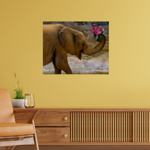 Elefante com Poster de Rosa
